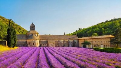 【欧洲】薰衣草季·法国一地 15 日 13 晚·从南到北-深度环法 6月23日出发